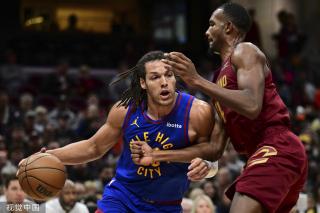 水平的门将 水平的门将